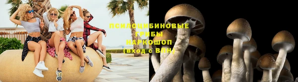 амф Алзамай