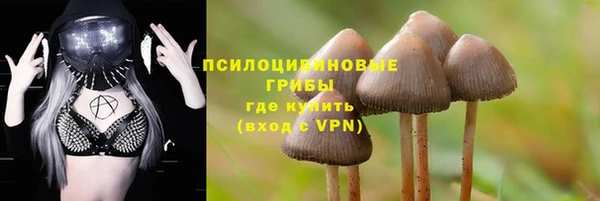 мескалин Алексин