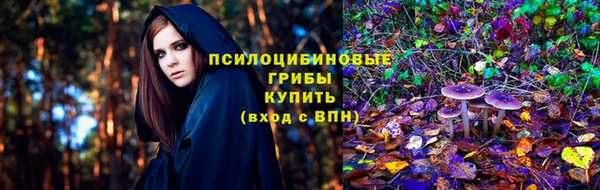 мескалин Алексин