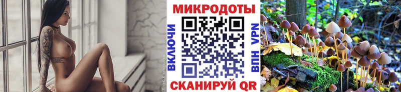 что такое наркотик  Рыбное  Псилоцибиновые грибы Psilocybine cubensis 